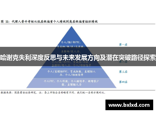 哈谢克失利深度反思与未来发展方向及潜在突破路径探索