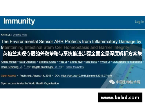 英格兰实现夺冠的关键策略与系统推进步骤全面全景深度解析方案集